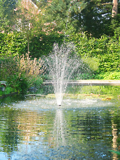 Bed and breakfast De Serafijn - Lochristi